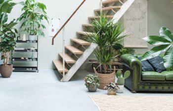 Huiskamer met planten