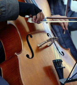 cello